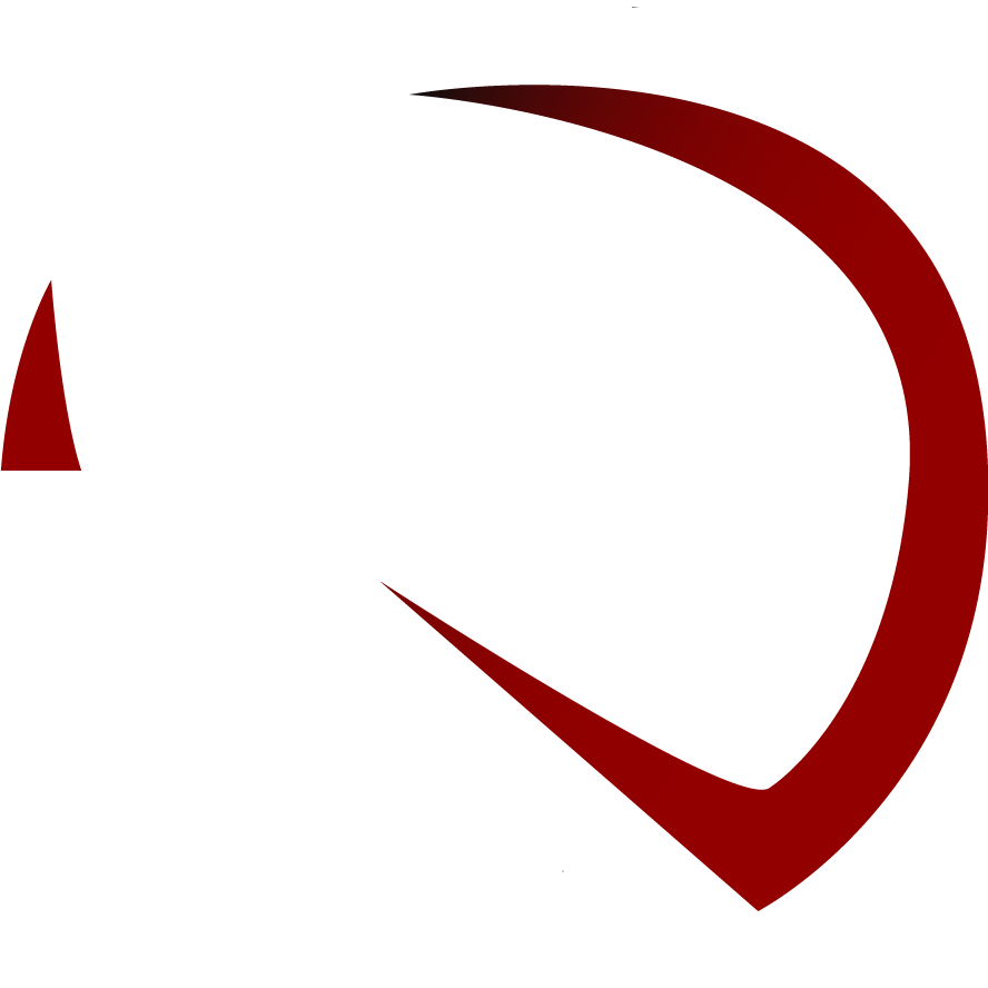 Logo RD Vision